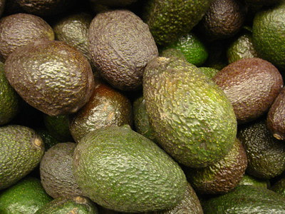 "avocado" by ollesvensson is licensed under CC BY 2.0.